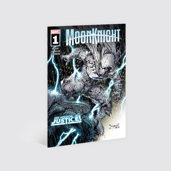 Cuadro MoonKnight