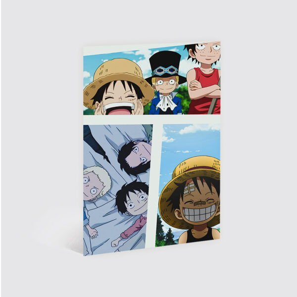 Cuadro One Piece 2