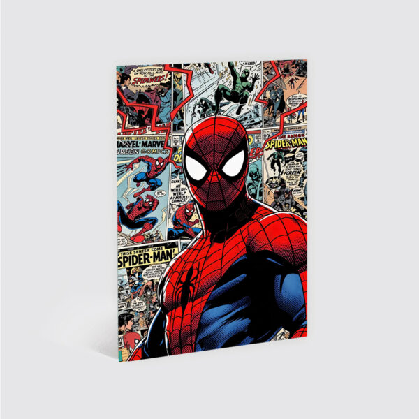 Cuadro Spider-Man Comic
