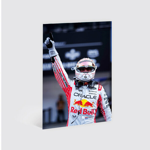 Cuadro Max Verstappen