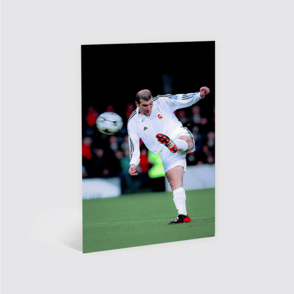 Cuadro Zinedine Zidane