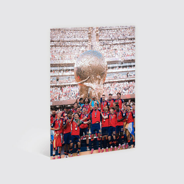 Cuadro España Campeona del Mundo