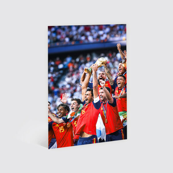 Cuadro España Campeona del Mundo 2
